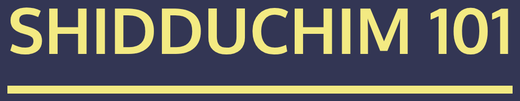 Shidduchim 101